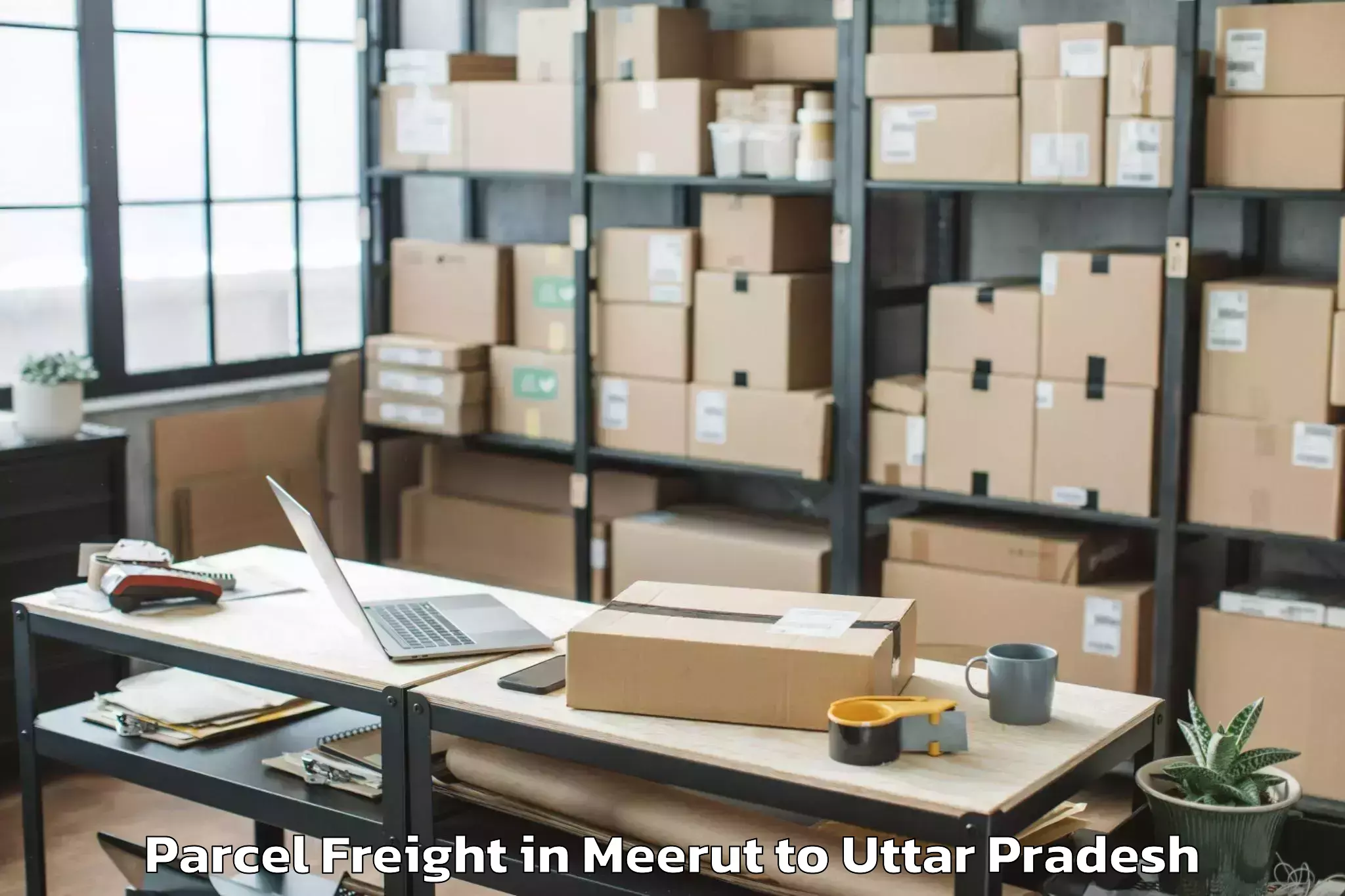 Book Meerut to Bilthra Parcel Freight